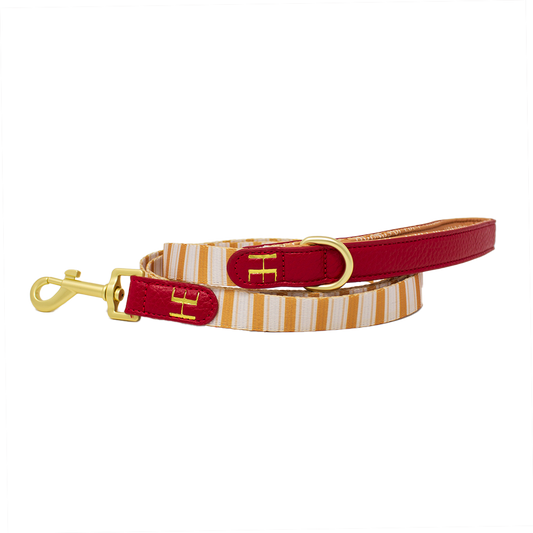 Harrold + Hattie Bears Leather Dog Lead - The Bark Market