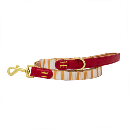 Harrold + Hattie Bears Dog Harness (XXS-XS) - The Bark Market