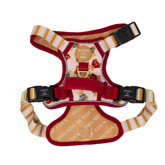 Harrold + Hattie Bears Supaw Strong Lite™ Dog Harness (XS-XL) - The Bark Market