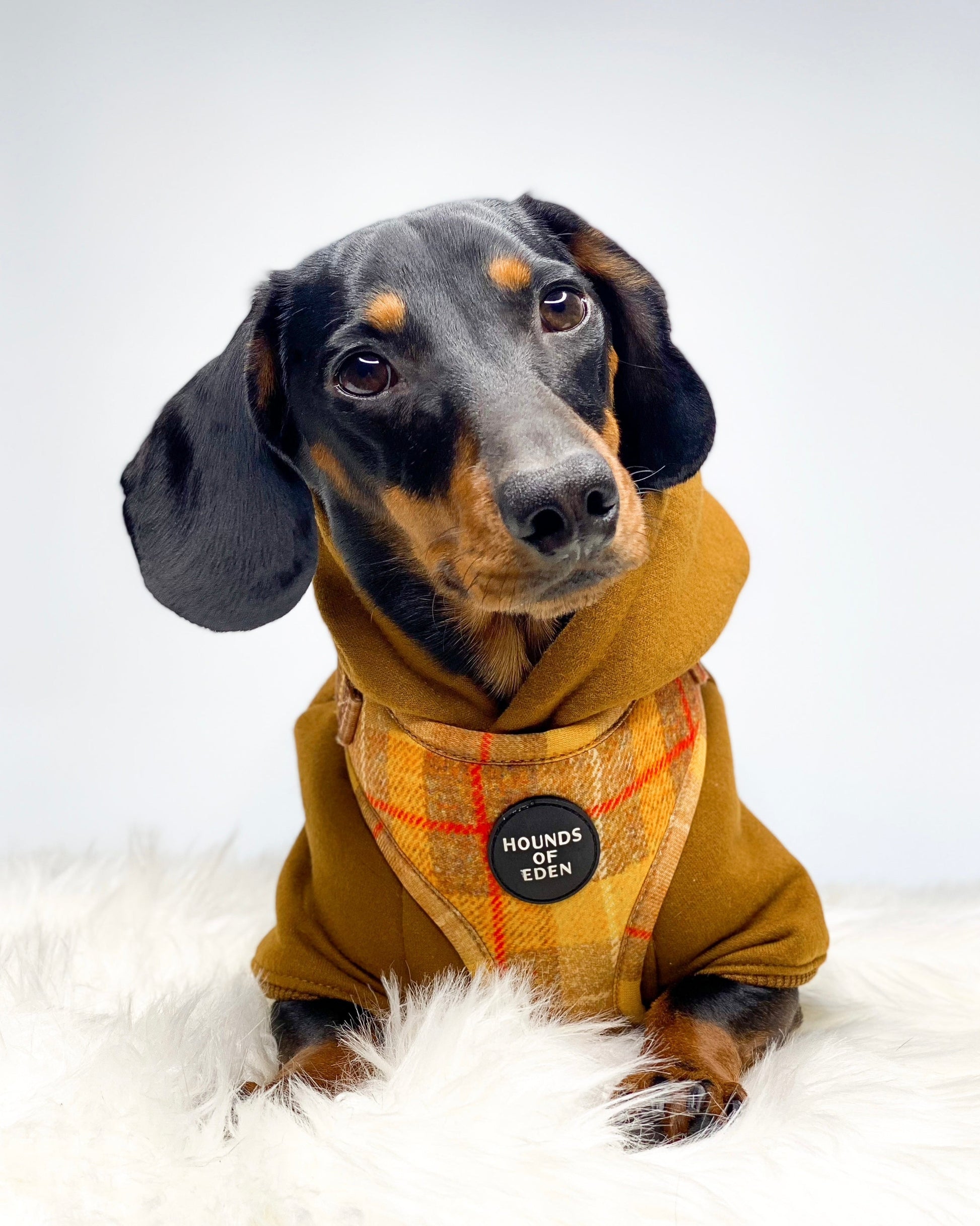 Dog Hoodie - Lilac - The Bark Market