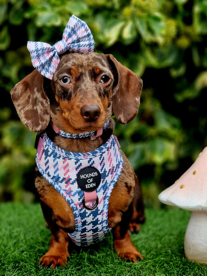 Pink Houndstooth Dog Harness (XXS-XS) - The Bark Market
