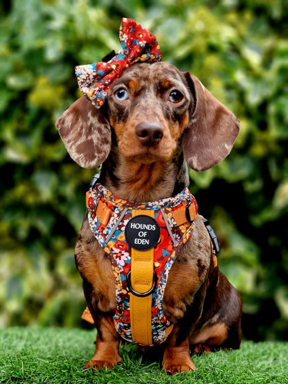 Retro Bloom Dog Supaw Strong Lite™ Harness (XS-XL) - The Bark Market