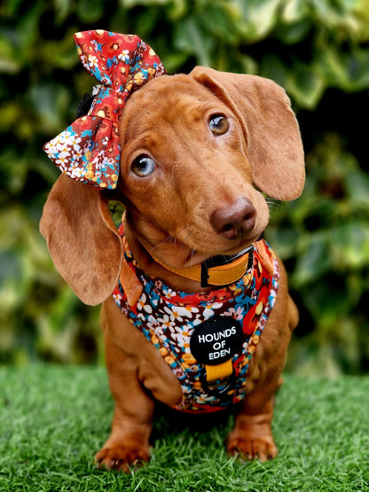 Retro Bloom Dog Harness (XXS & XS) - The Bark Market