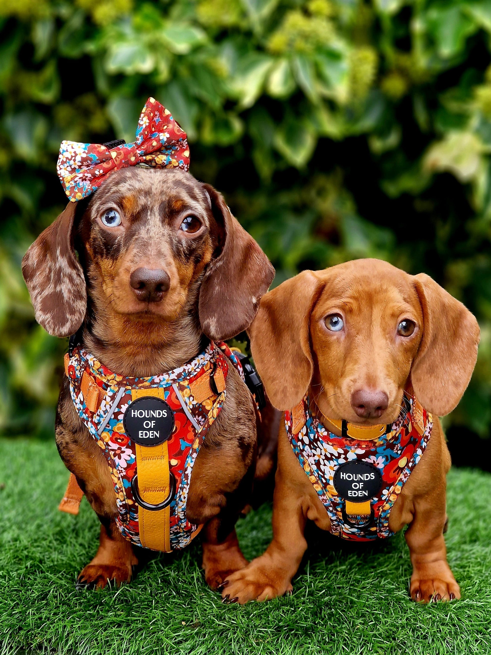 Retro BloomDesign Dog Bow Tie - The Bark Market