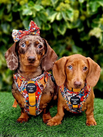 Retro BloomDesign Dog Bow Tie - The Bark Market