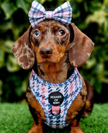 Pink Houndstooth Dog Harness (XXS-XS) - The Bark Market
